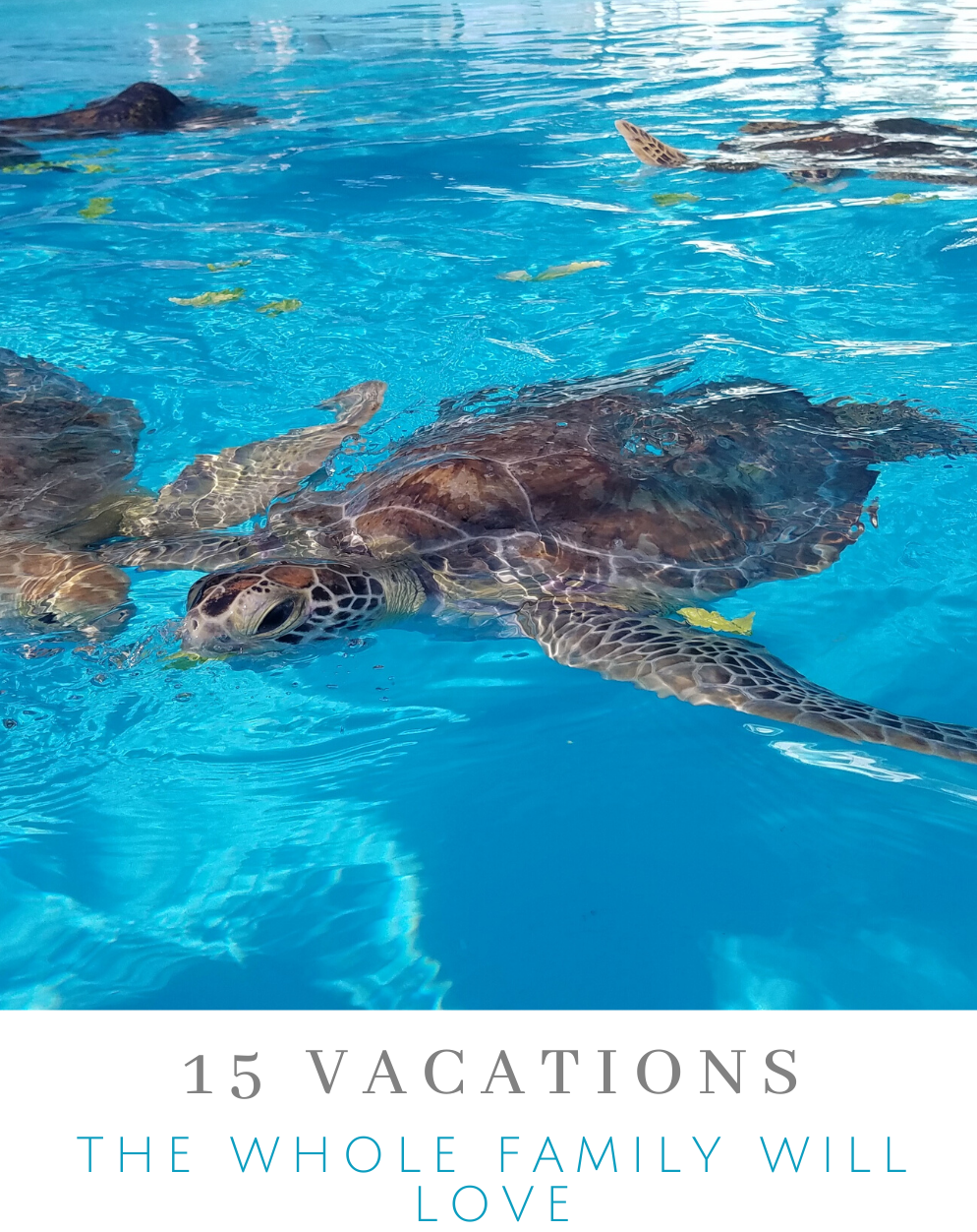 Vacations the Whole Family Will Love