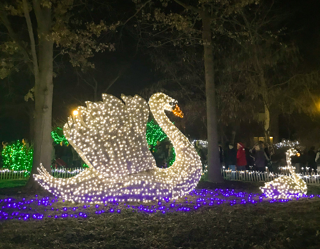 St Louis City Zoo Lights - Unearth the Voyage St Louis City Zoo Lights - Unearth the Voyage