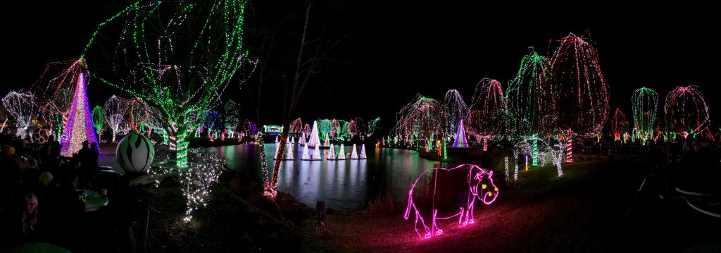 Wildlights, Columbus Zoo - Zen Life and Travel Wildlights, Columbus Zoo - Zen Life and Travel